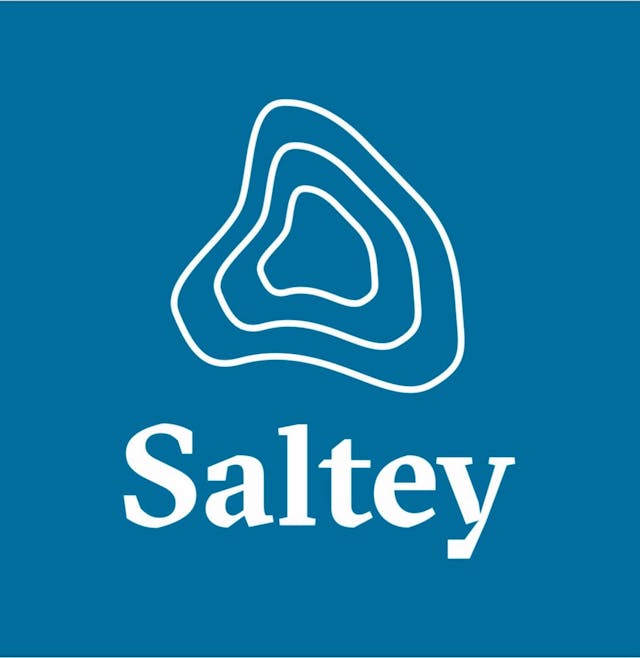 Saltey Logo