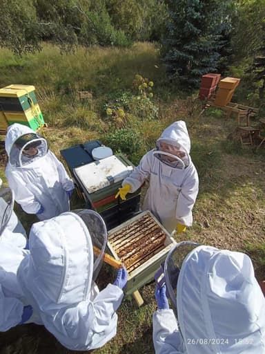 Býflugur Austurlands Logo