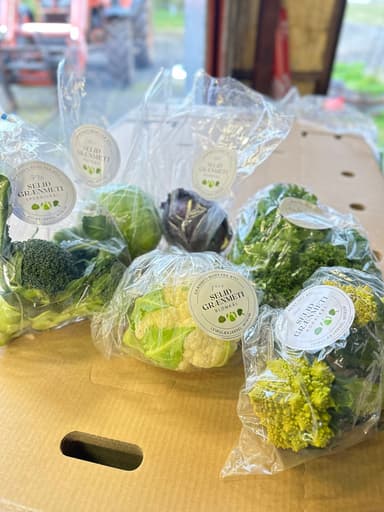 Selið grænmeti Logo