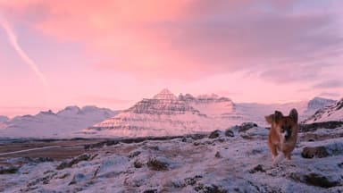 Steinaborg Berufjarðarströnd Logo